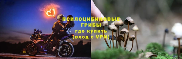 трава Медвежьегорск