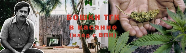 спайс Мегион