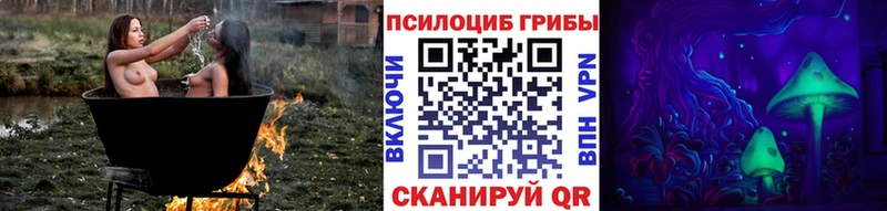 Галлюциногенные грибы прущие грибы сайты даркнета состав Дорогобуж что такое
